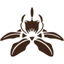 The Blessed Seed