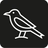THE MAGPIE