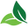 Vanera
