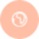 Vasarii
