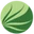 Whole Leaf Aloe