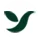 Yolo Group Pte