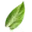 Z Skin