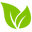 ZestiGreens